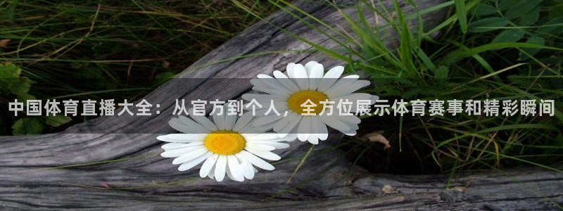 中国体育直播大全：从官方到个人，全方位展示体育赛事和精彩瞬间