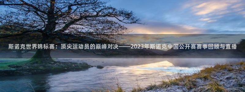 斯诺克世界锦标赛：顶尖运动员的巅峰对决——2023年斯诺克中国公开赛赛事回顾与直播
