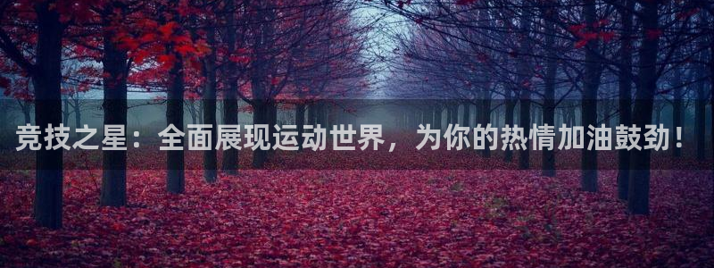 竞技之星：全面展现运动世界，为你的热情加油鼓劲！